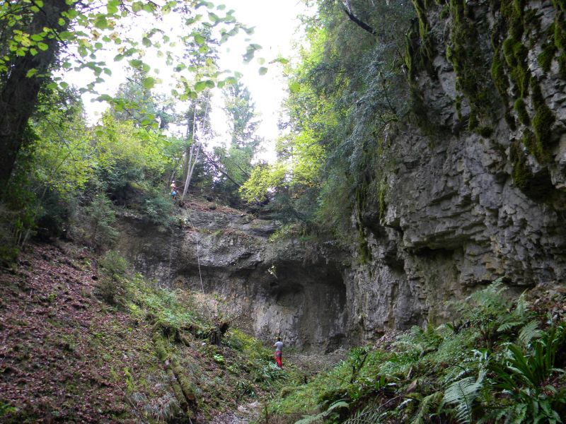 Forêt d'Arbent